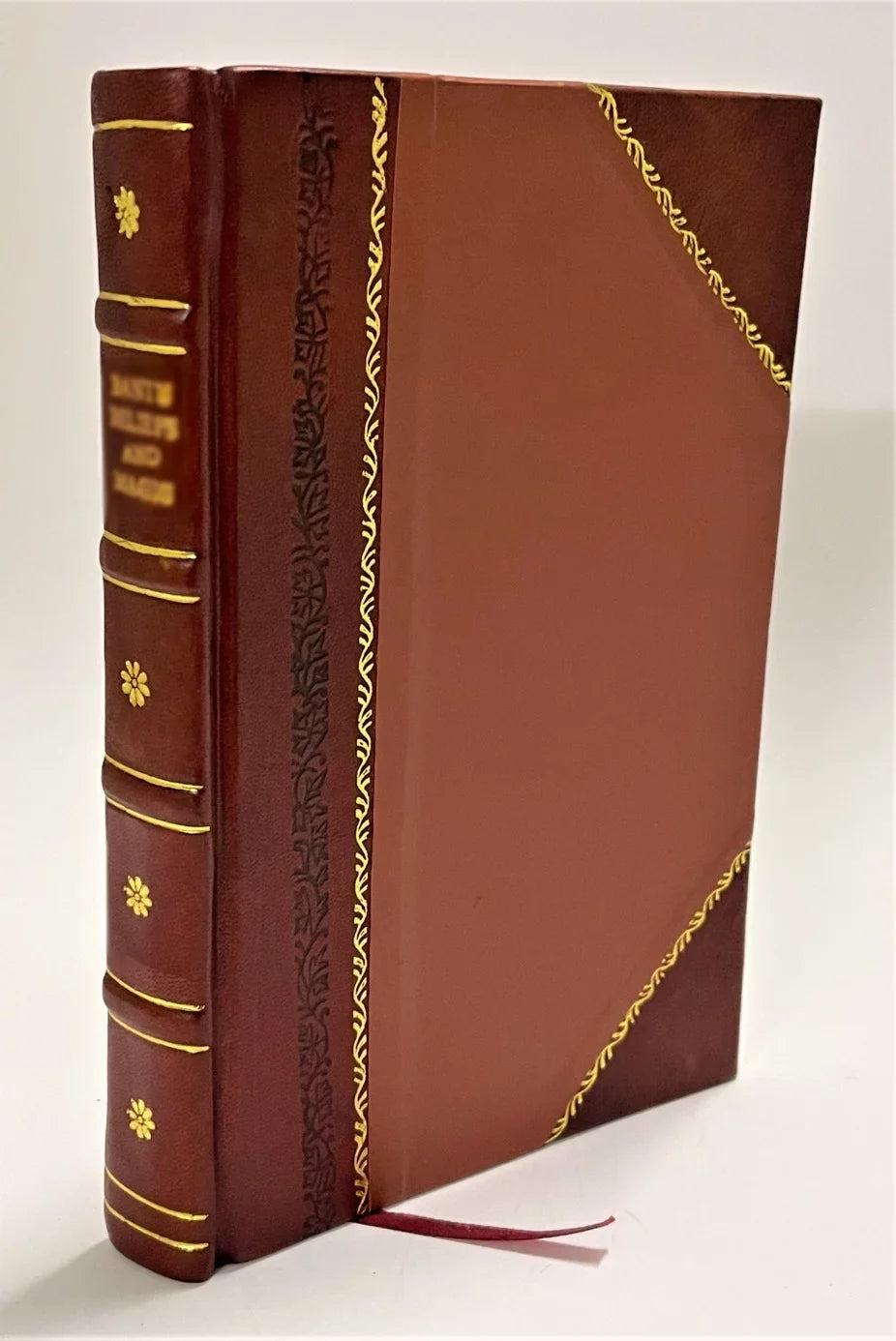 [Leather Bound]. The senior fellow, by the author of 'Squires and parsons'