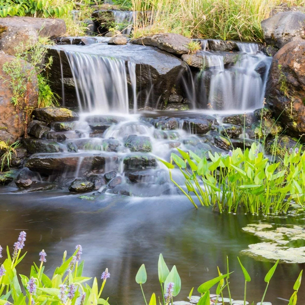 HALF OFF PONDS Piranha Series 6,300 GPH Direct Drive Submersible Pump for aqua Gardens, Ponds and Waterfalls - PN-6300