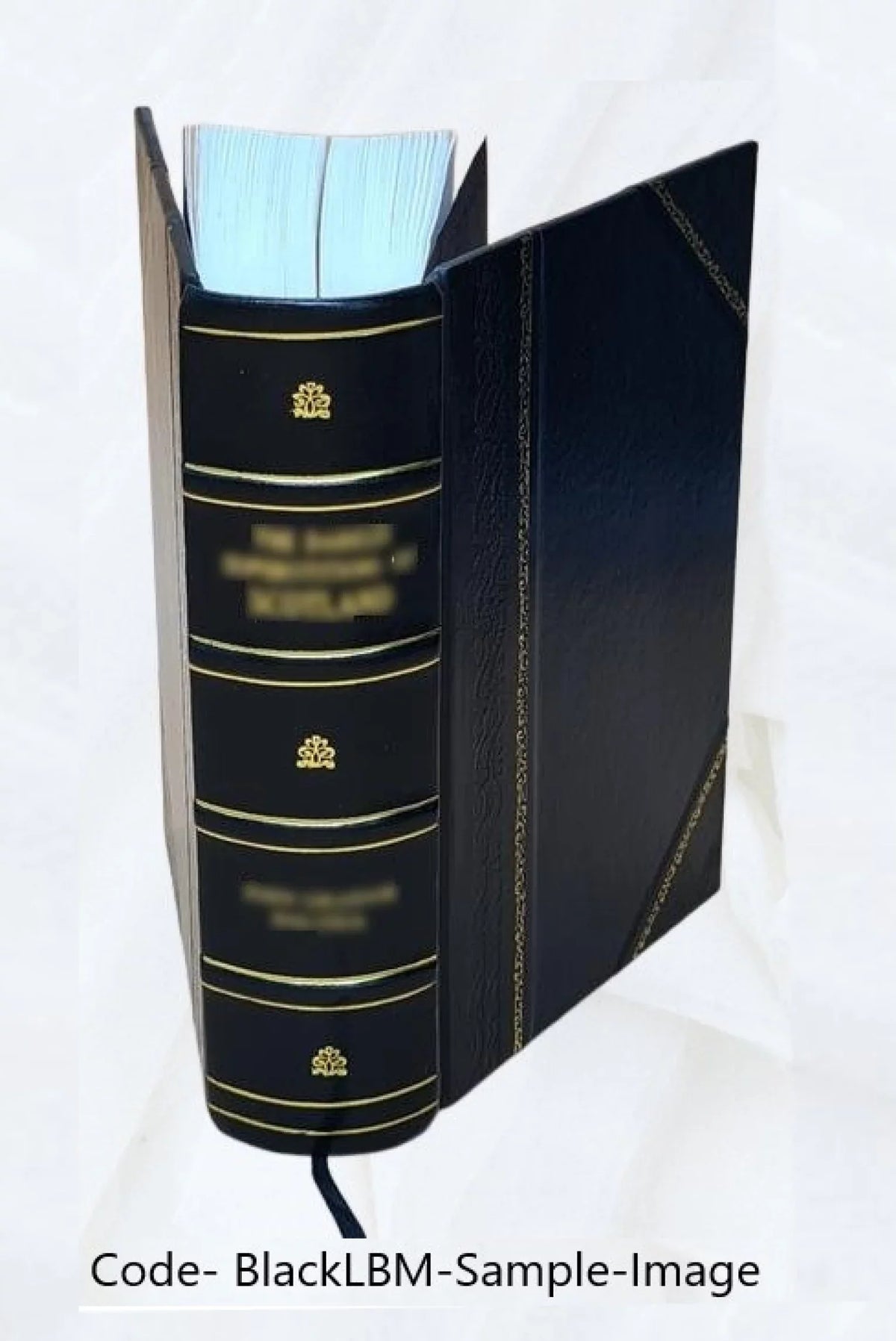 Cinderella : three hundred and forty-five variants of Cinderella, Catskin, and Cap o'Rushes 1893 [Leather Bound]