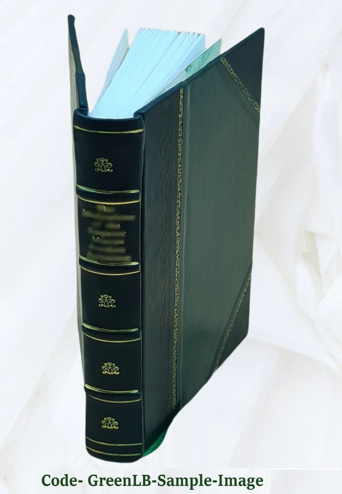 Meistersinger : fünfzig symphonische Sätze / aus Richard Wagner [Leather Bound]