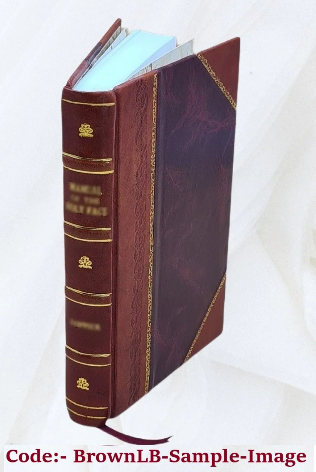 1901 [Leather Bound]. The helmet of Navarre / by Bertha Runkle ; illustrations by André Castaigne
